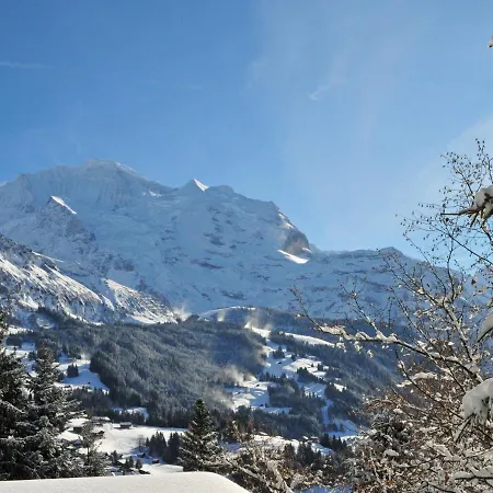 Apartamento Roossi Apt- 1 By Interhome Wengen