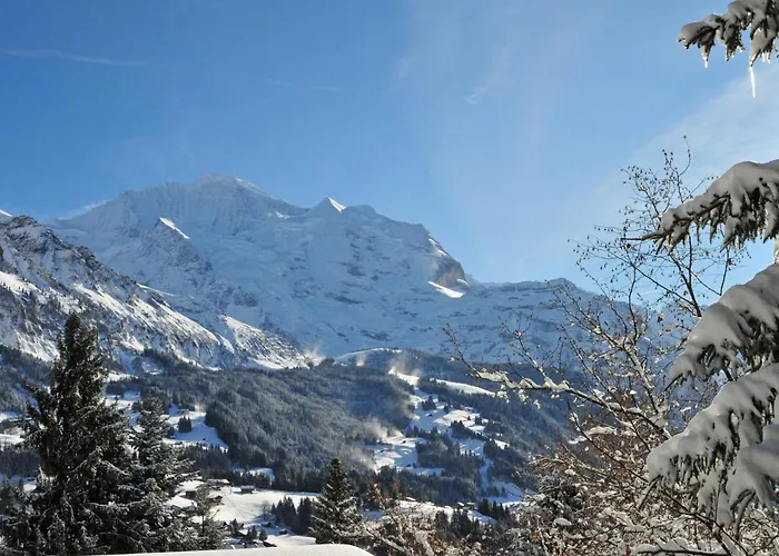 Apartament Roossi Apt- 1 By Interhome Wengen